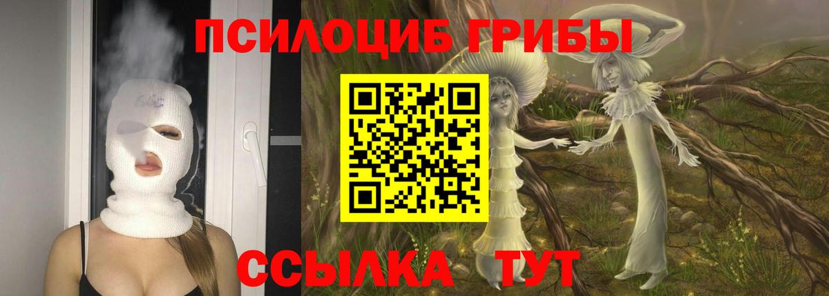 Ухта  Галлюциногенные грибы GOLDEN TEACHER  Галлюциногенные грибы Cubensis  что такое наркотик  Вход с VPN 